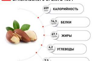 Витамины в бразильском орехе — польза и состав