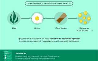 Витамины и микроэлементы в составе ламинарии