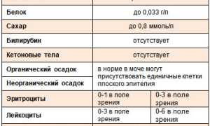 Норма диастазы мочи у женщин — что нужно знать