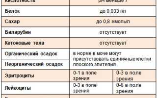 Норма диастазы мочи у женщин — что нужно знать