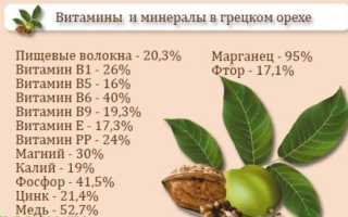 Грецкий орех с медом — польза для мужского здоровья