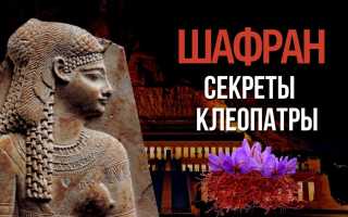 Полезные свойства шафрана — польза для здоровья и красоты