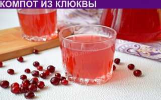 Польза компота из клюквы для здоровья