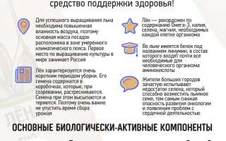 Лен — Польза и Вред для Здоровья