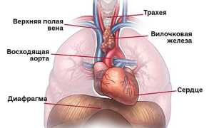 Тимома средостения: что это такое простыми словами