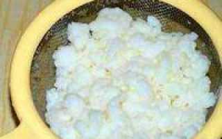 Что такое молочный гриб — простой обзор