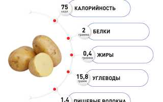 Картофель — польза для желудка и пищеварения