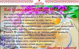 Правильное заваривание иван-чая
