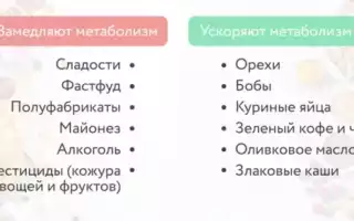 Продукты для ускорения метаболизма и сжигания жира