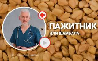 Настой пажитника — польза и применение