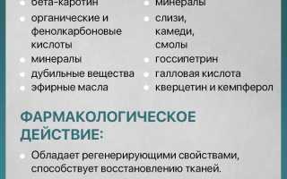 Полезные свойства сабельника болотного
