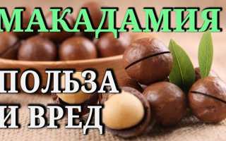 Орехи макадамия — польза и вред для женщин после 50 лет