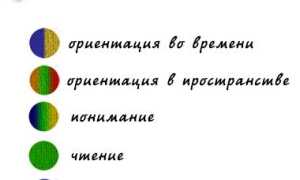 Легкие когнитивные нарушения: что это такое у взрослых