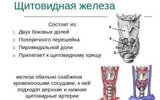 Опасна ли аденома щитовидной железы и способы ее лечения