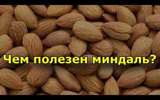Химический состав и пищевая ценность миндаля