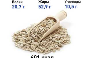 Семя подсолнечника — польза и вред для здоровья
