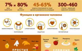 Влияние смеси быстрых сахаров и жиров на организм