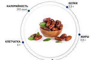 Финики каждый день — польза и вкус