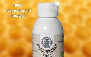 Прополис — пчелиное лекарство с древними корнями