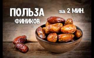 Полезные витамины в финиках