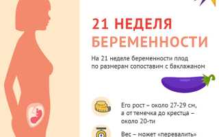 21 Неделя Беременности — Почему Тянет Низ Живота?