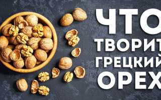 Грецкий орех — польза для женщин после 40