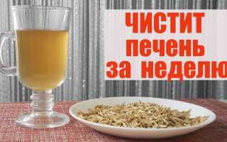 Очищение печени овсом — домашний рецепт