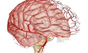 Укрепление сосудов головного мозга