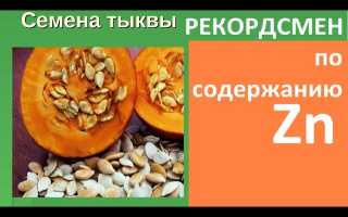 Содержание цинка в семенах тыквы — факты и цифры