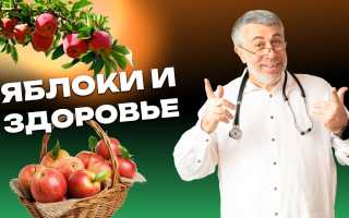 Яблоки — польза и вред для здоровья
