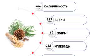 Химический состав кедровых орехов — польза для здоровья