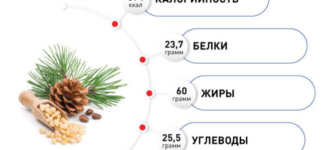 Химический состав кедровых орехов — польза для здоровья