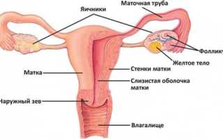 Симптомы и лечение склерокистоза яичников