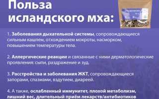 Исландский мох от кашля — противопоказания и риски