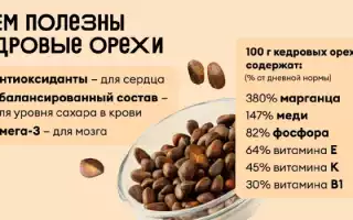 Микроэлементы в кедровых орехах — польза для здоровья