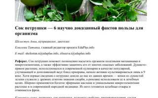 Петрушка — польза и вред от настойки
