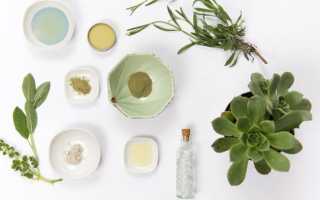 Лечение кист травами — эффективные рецепты и советы