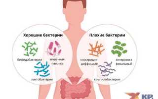 Снижение бактероидов в кале у взрослых — что это означает?