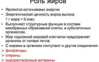Роль жиров в функционировании клетки