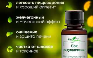 Польза настойки одуванчика для здоровья