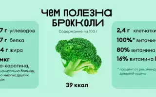 Брокколи — источник белка или клетчатки?