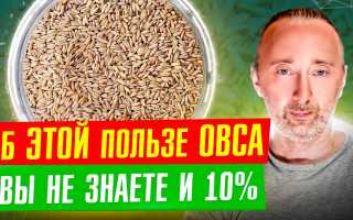 Лечение овес — польза и способы применения