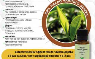 Польза масла чайного дерева для здоровья и кожи
