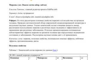 Содержание белка в моркови — правда или миф?