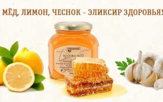 Польза меда с лимоном и чесноком — секреты здоровья и долголетия