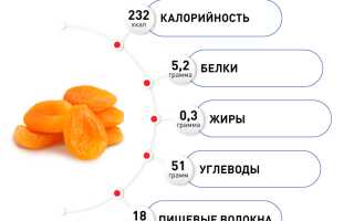 Состав кураги — полезные свойства и компоненты