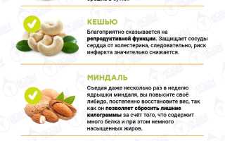 Орехи и потенция — секреты здоровой мужской силы