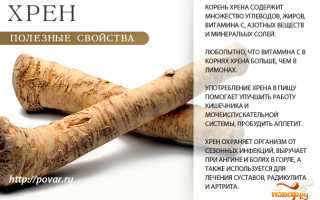 Витамины в хрене — польза для здоровья