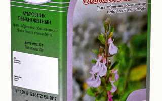 Лечебные свойства растения Дубровник — польза для здоровья