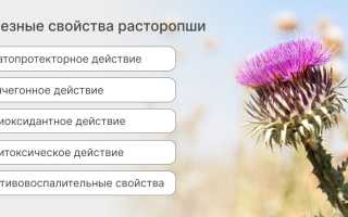 Полезные свойства расторопши для здоровья